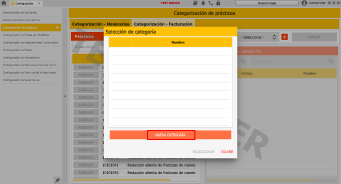 nueva categoria