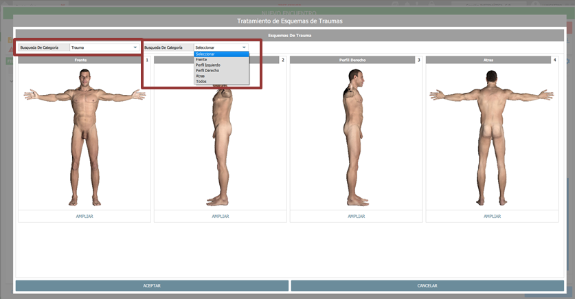 seleccionar categoria y perfil