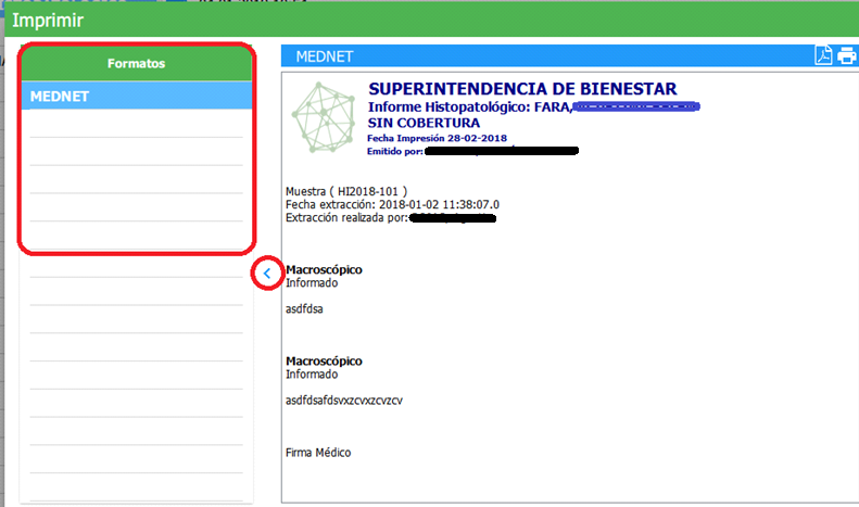 tipos de formatos