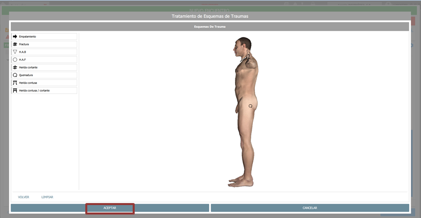 agregar lesiones, aceptar